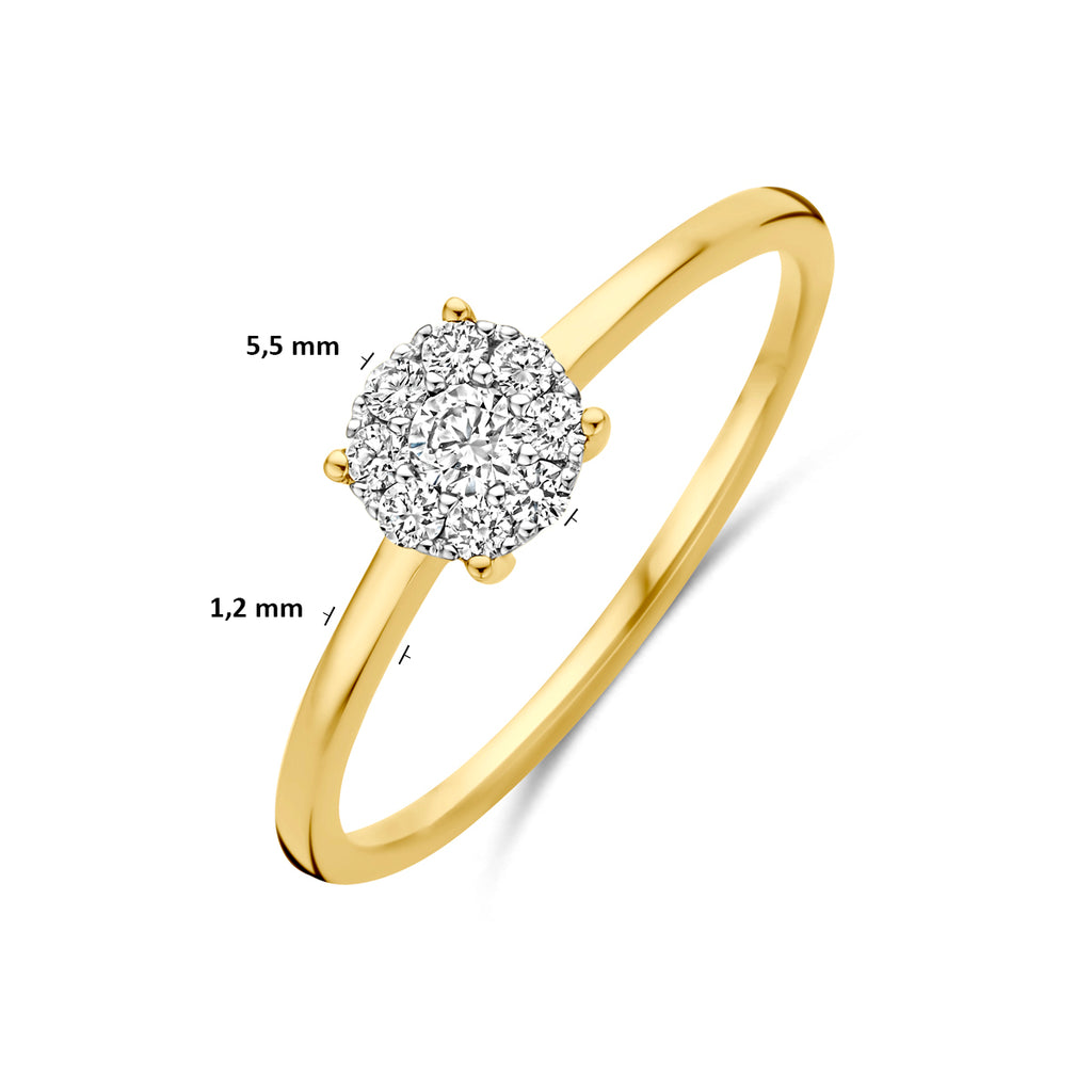 14K bicolor gouden ring Elonara detail bovenaanzicht met natuurlijke diamant voor dames - City Juwelier