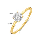14K bicolor gouden ring Elonara detail bovenaanzicht met natuurlijke diamant voor dames - City Juwelier