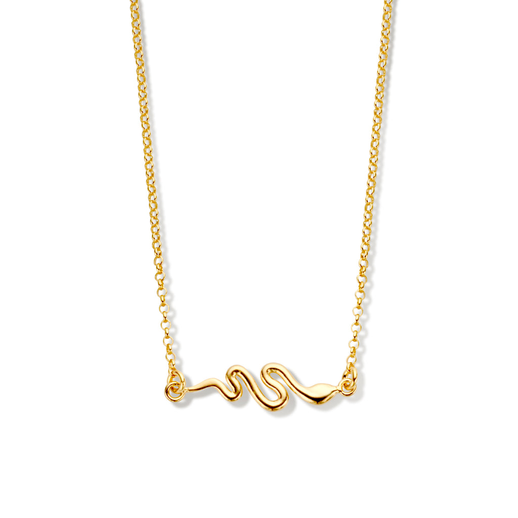Ketting slang
