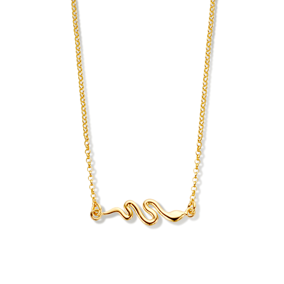 Ketting slang