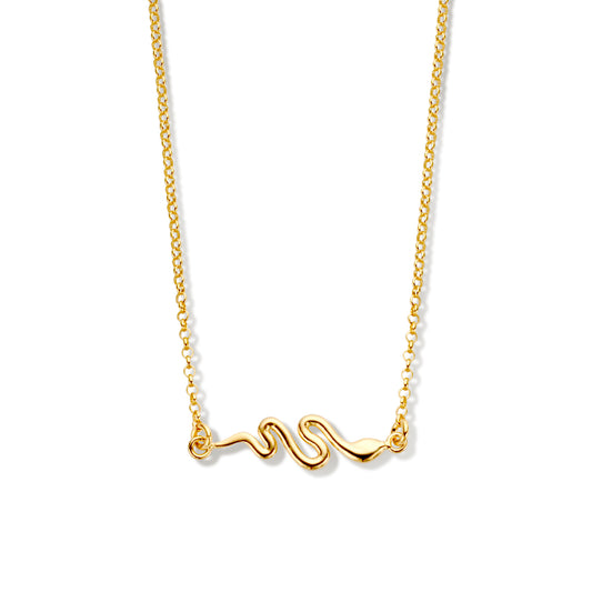 Ketting slang