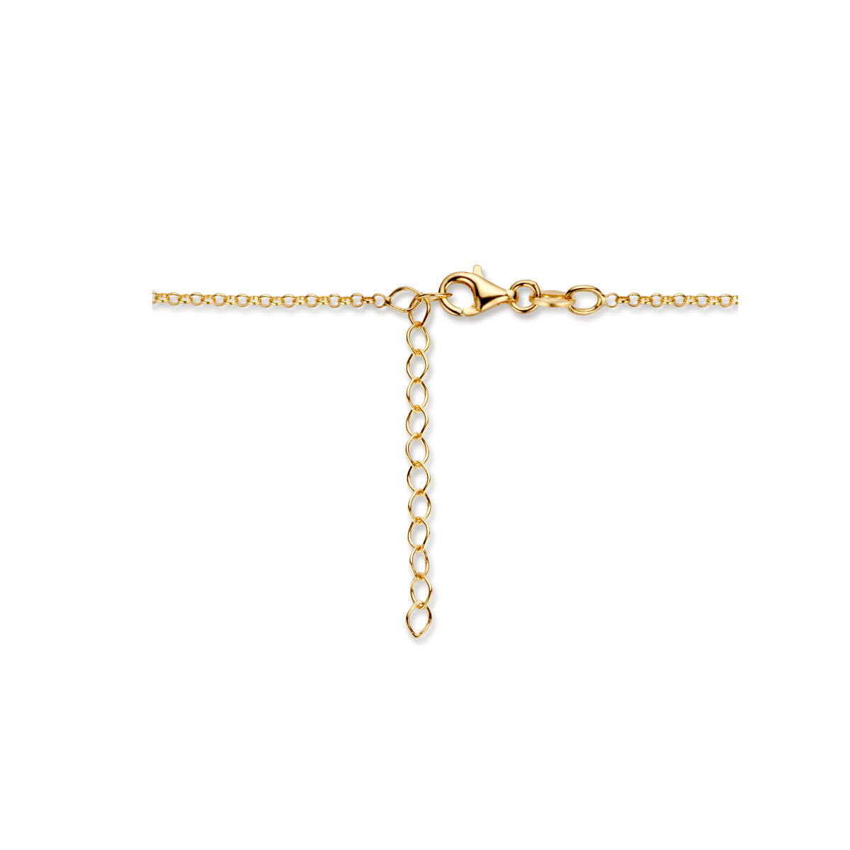 Ketting slang