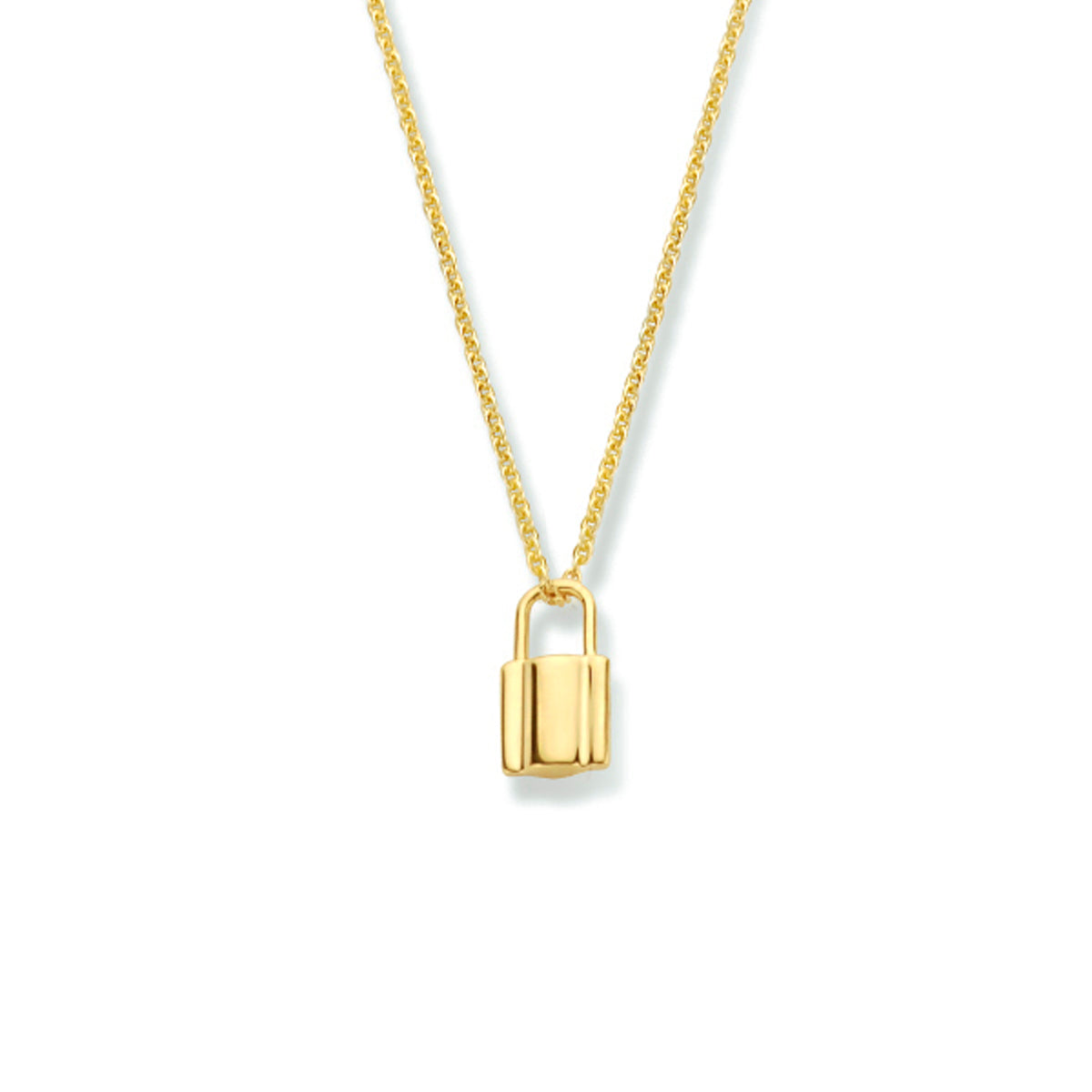 Clavella - Gouden Dames Ketting 14K Geelgoud - Slot Hanger