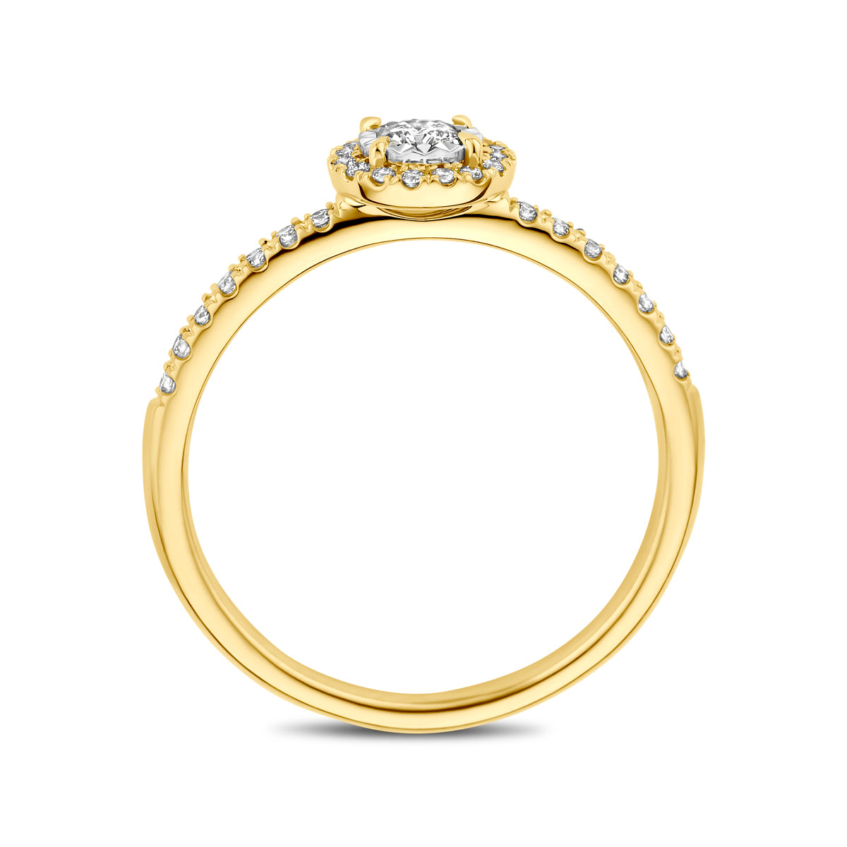 Eternia - Verlovingsring Diamant 14K Bicolor Goud - Aanzoeksring Zijkant