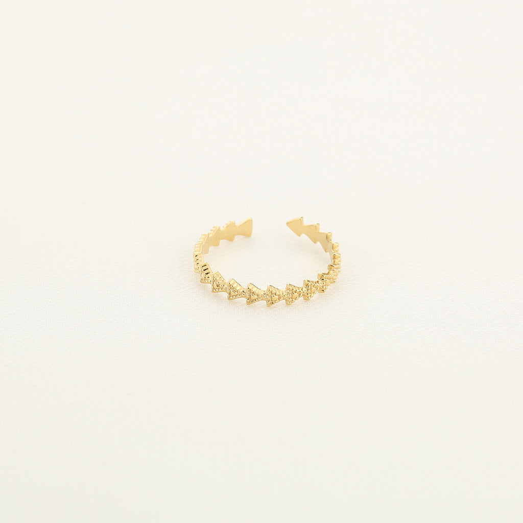 Fijne ring