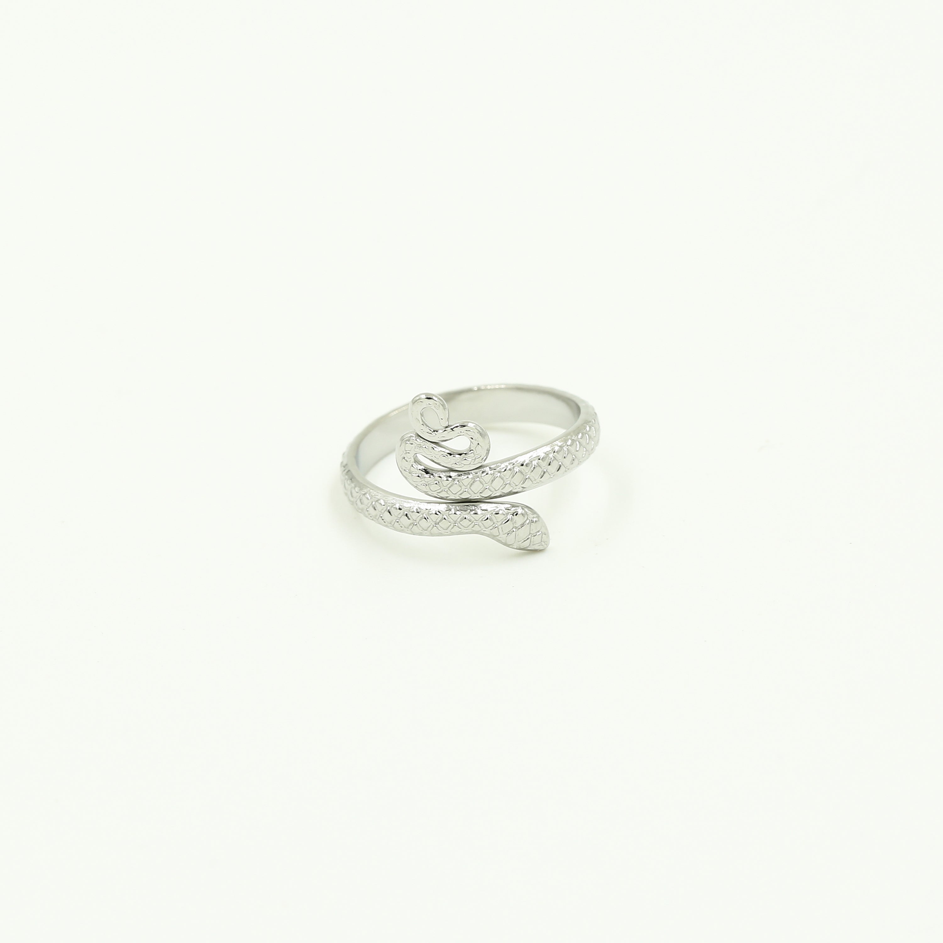Serpentina - Slang Ring Zilver - Stainless Steel 2