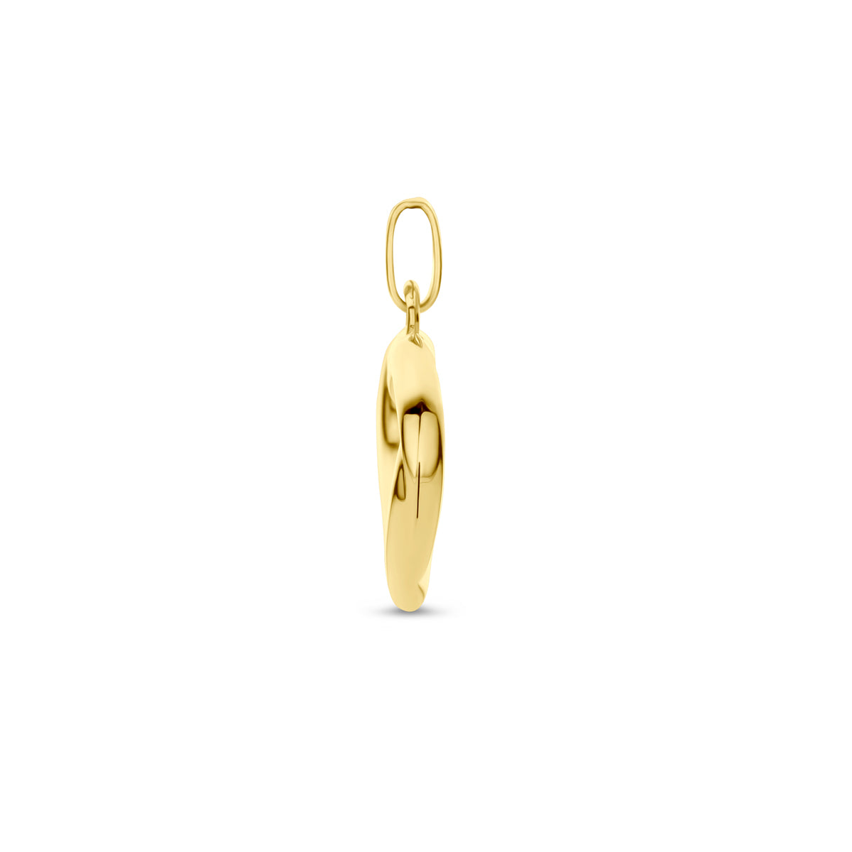 Detail van 14K geelgouden hart hanger - Luxe afwerking - City Juwelier