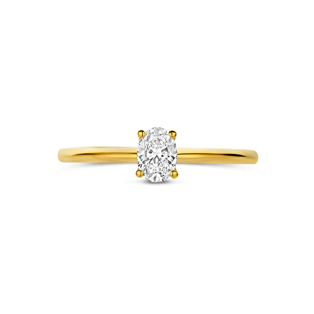 Radiara 14 karaat gouden ring met 0.30 karaat diamant detail - City Juwelier