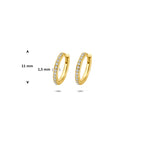 Stralende 14 karaat gouden oorbellen met diamant zijaanzicht voor dames - City Juwelier