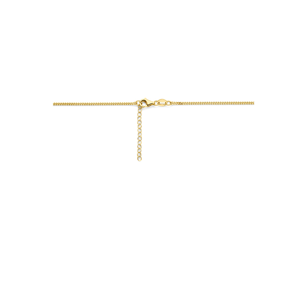 Velarinda gouden ketting close-up karabijnsluiting 14 karaat geelgoud - City Juwelier