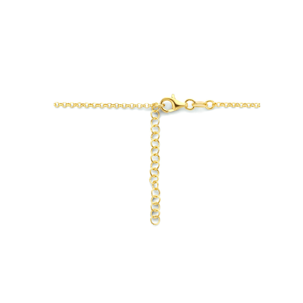 Ketting hartjes